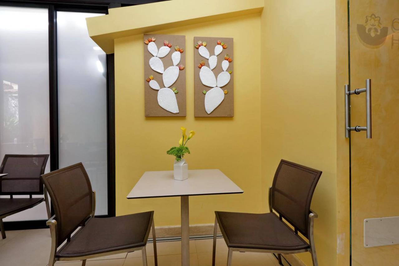 Hotel Camelia Rome Bagian luar foto